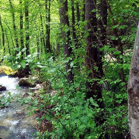 Dom Faletici - Сараєво Екстер'єр фото